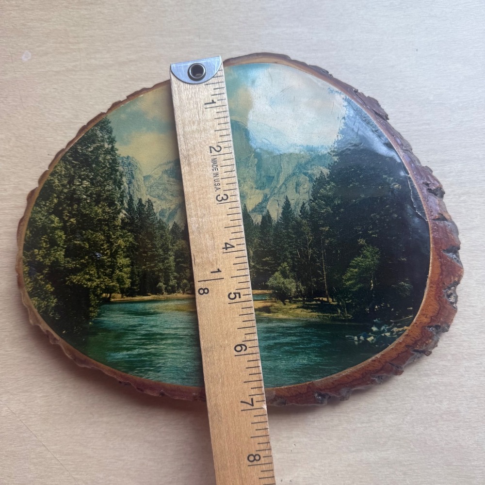 50 Special Plaque Yosemite Wood Slice Wall Art Half Dome Good 8.75in x 7.25in - Picture 6 of 10